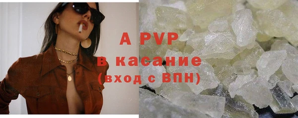 спайс Арсеньев