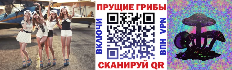 Галлюциногенные грибы Psilocybine cubensis  Багратионовск 